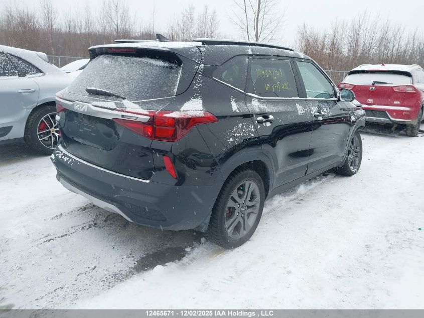 2023 Kia Seltos Lx VIN: KNDEPCAA8P7375792 Lot: 12465671