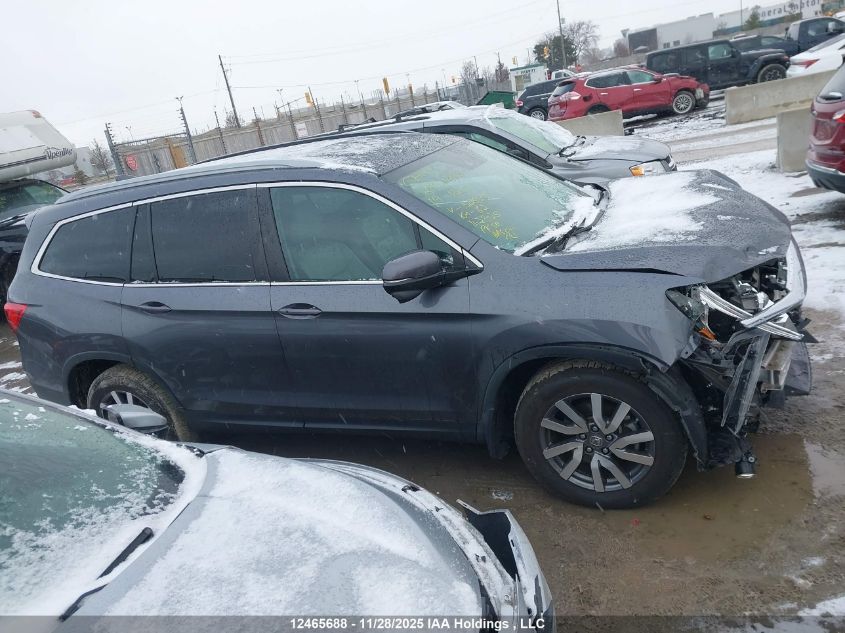 2019 Honda Pilot Ex-L Navi VIN: 5FNYF6H72KB506911 Lot: 12465688