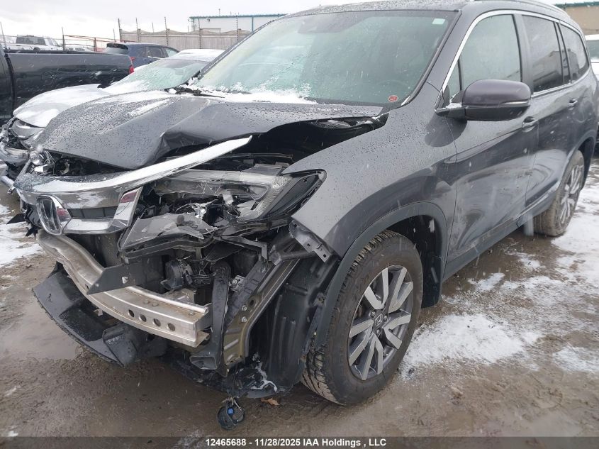 2019 Honda Pilot Ex-L Navi VIN: 5FNYF6H72KB506911 Lot: 12465688