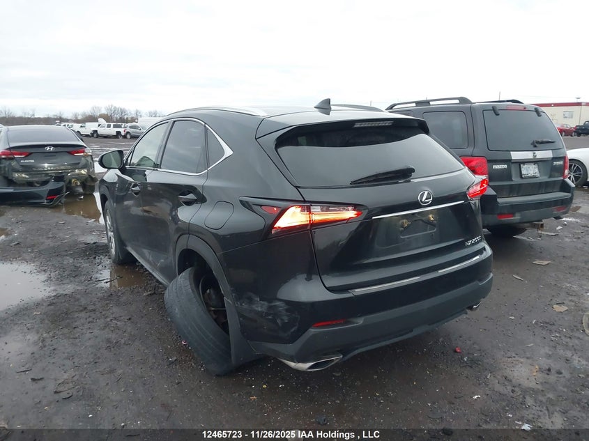 JTJBARBZ6H2131047 2017 LEXUS NX photo no. 3