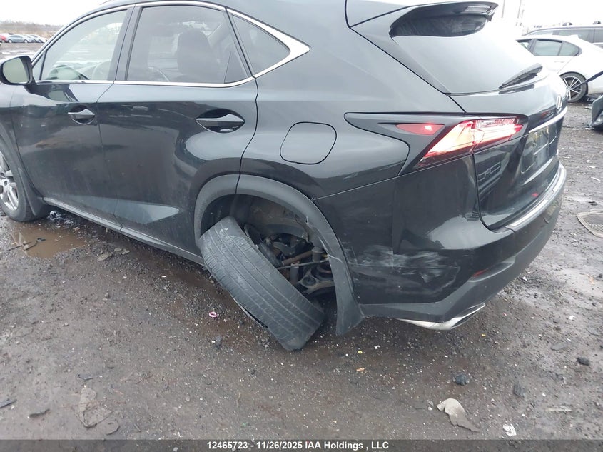 JTJBARBZ6H2131047 2017 LEXUS NX photo no. 6