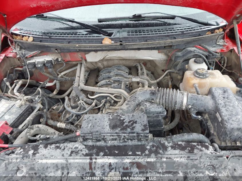 2013 Ford F-150 Fx4 VIN: 1FTFW1EF3DKD44105 Lot: 12431955X