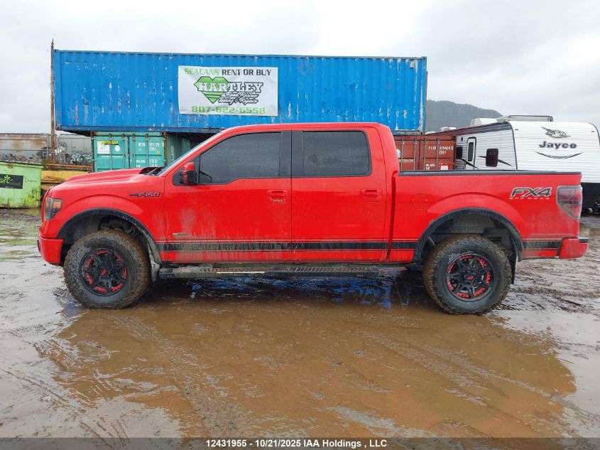 2013 Ford F-150 Fx4 VIN: 1FTFW1EF3DKD44105 Lot: 12431955X