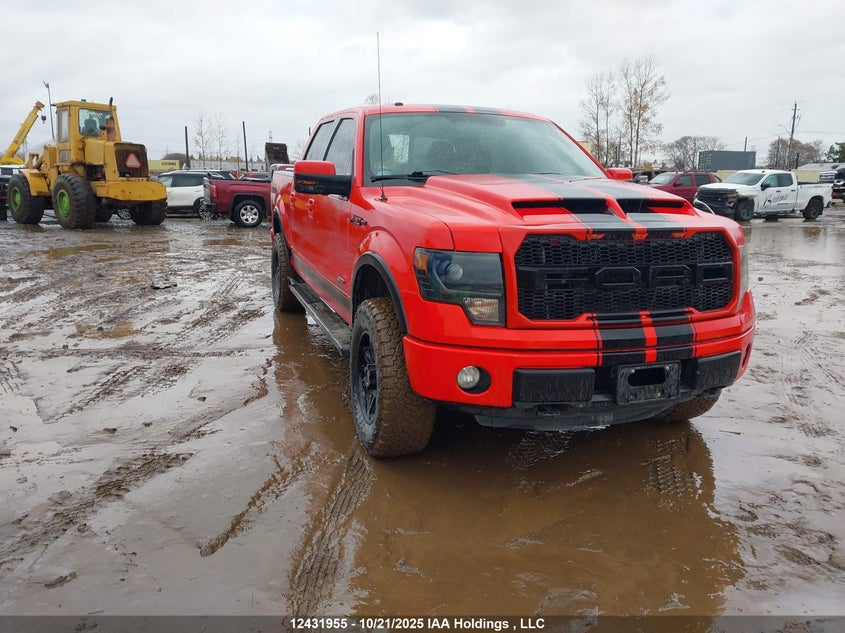 1FTFW1EF3DKD44105 2013 Ford F-150 Fx4 auction photo 1