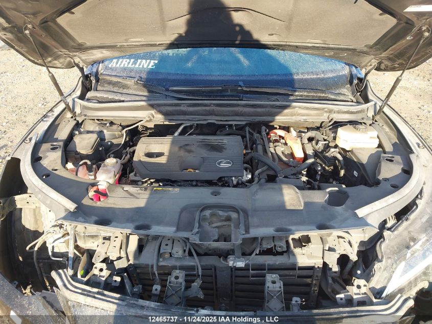 2024 Lexus Rx 350H Base/350H Premium/350H Premium Plus/350H Luxury VIN: 2T2BBMCA6RC042928 Lot: 12465737