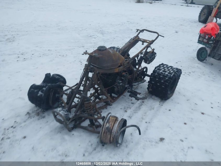 JH2TE32216K000611 2006 HONDA TRX photo no. 2