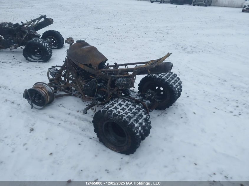 JH2TE32216K000611 2006 HONDA TRX photo no. 3