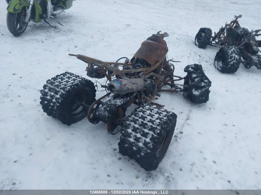 JH2TE32216K000611 2006 HONDA TRX photo no. 4