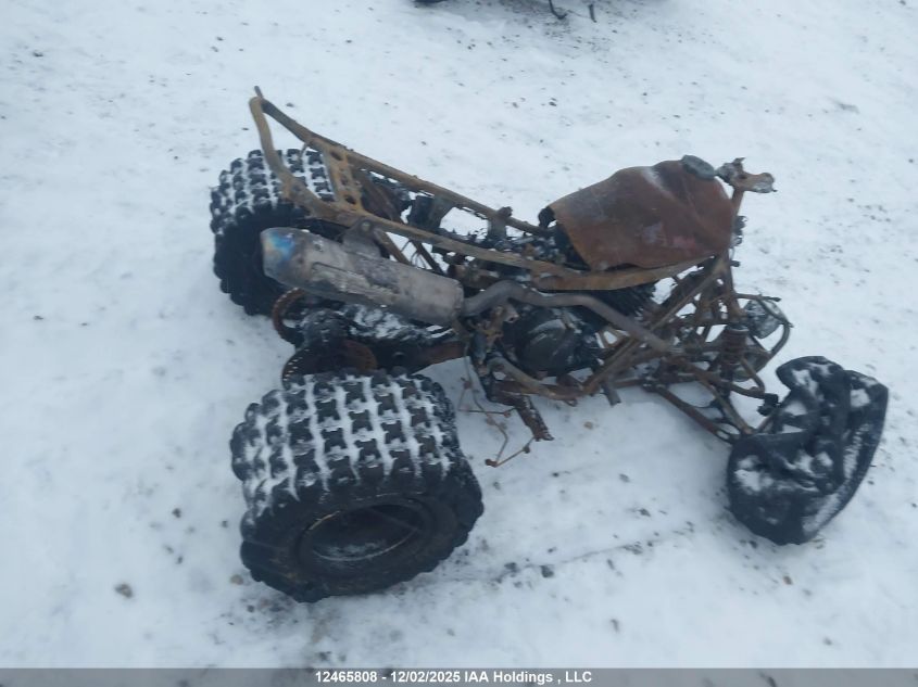 JH2TE32216K000611 2006 HONDA TRX photo no. 5