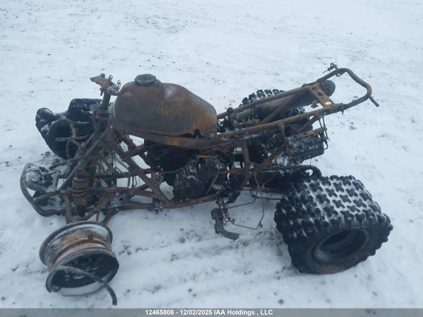 2006 Honda Trx450 Er VIN: JH2TE32216K000611 Lot: 12465808