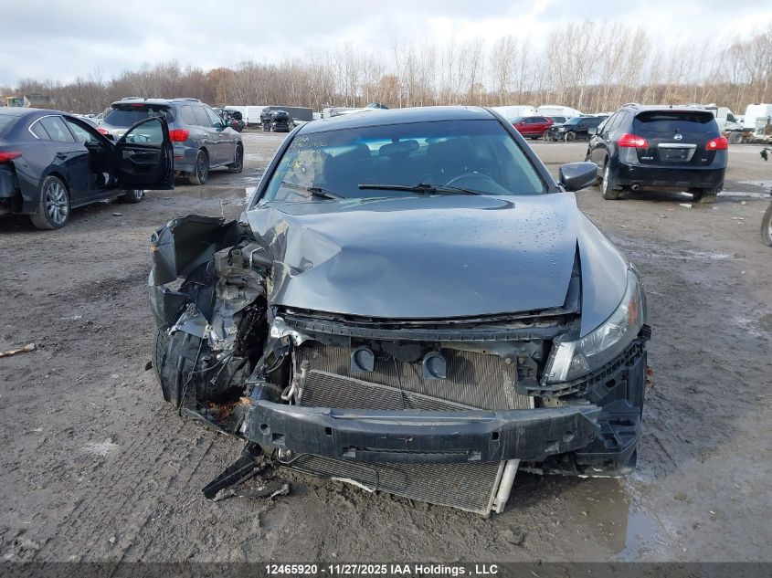 2010 Honda Accord Ex-L VIN: 1HGCS1B83AA800708 Lot: 12465920