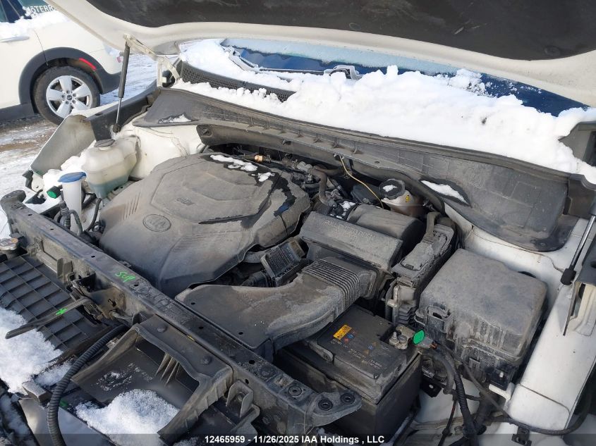 2020 Kia Sorento Sx VIN: 5XYPKDA56LG616875 Lot: 12465959