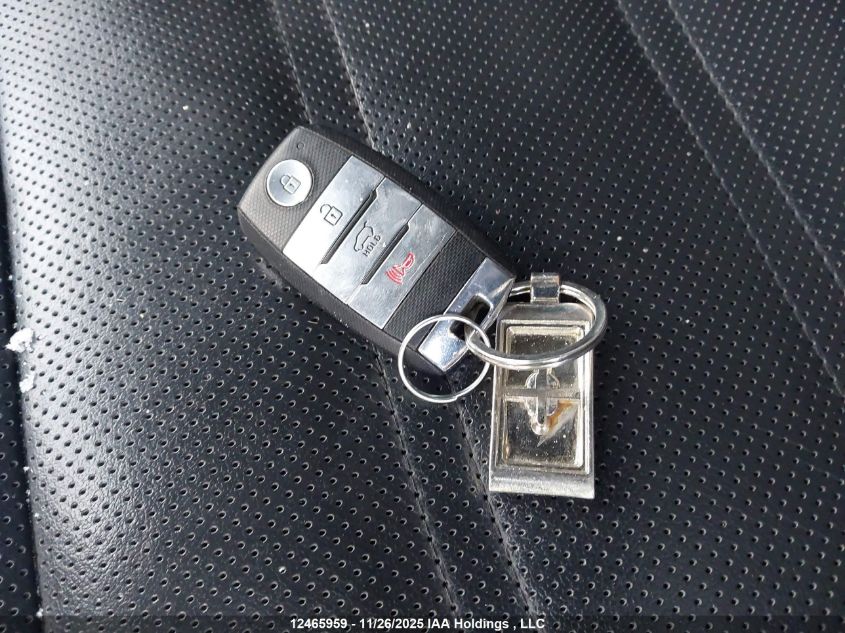 2020 Kia Sorento Sx VIN: 5XYPKDA56LG616875 Lot: 12465959