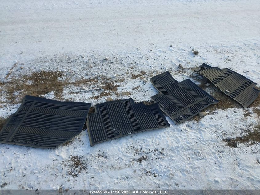 2020 Kia Sorento Sx VIN: 5XYPKDA56LG616875 Lot: 12465959