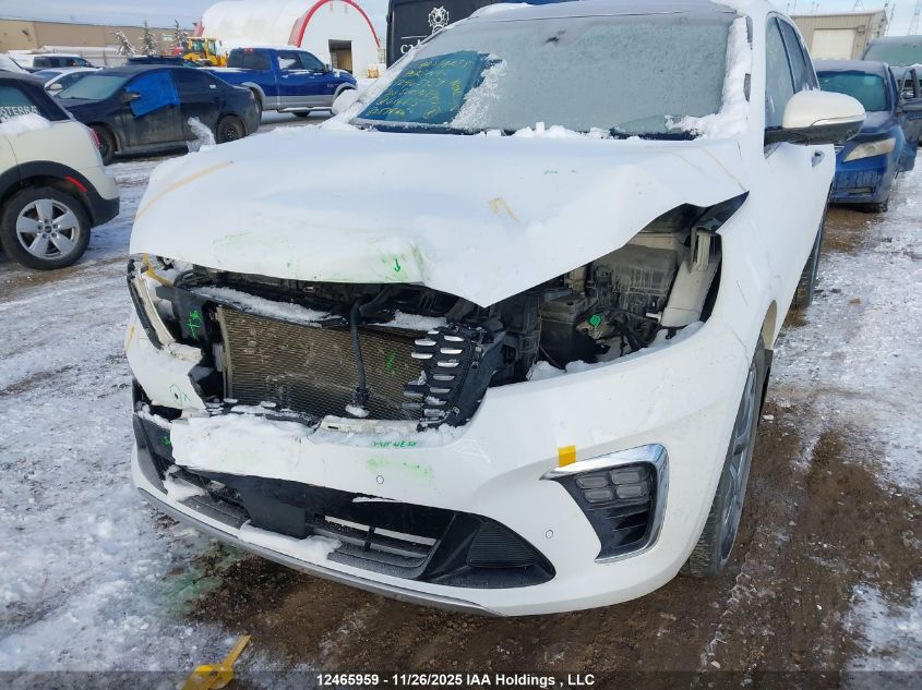 2020 Kia Sorento Sx VIN: 5XYPKDA56LG616875 Lot: 12465959