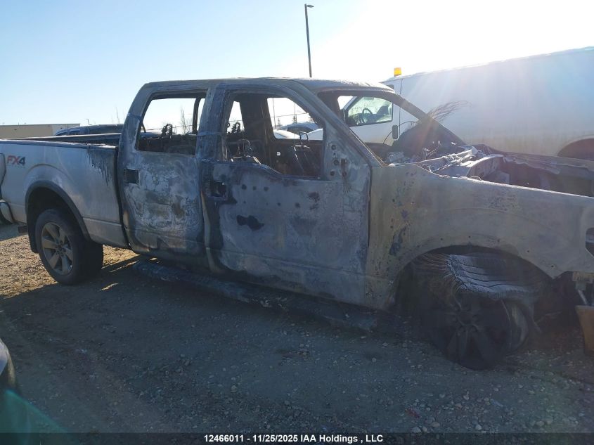 2013 Ford F-150 Fx4 VIN: 1FTFW1EF2DFB71119 Lot: 12466011