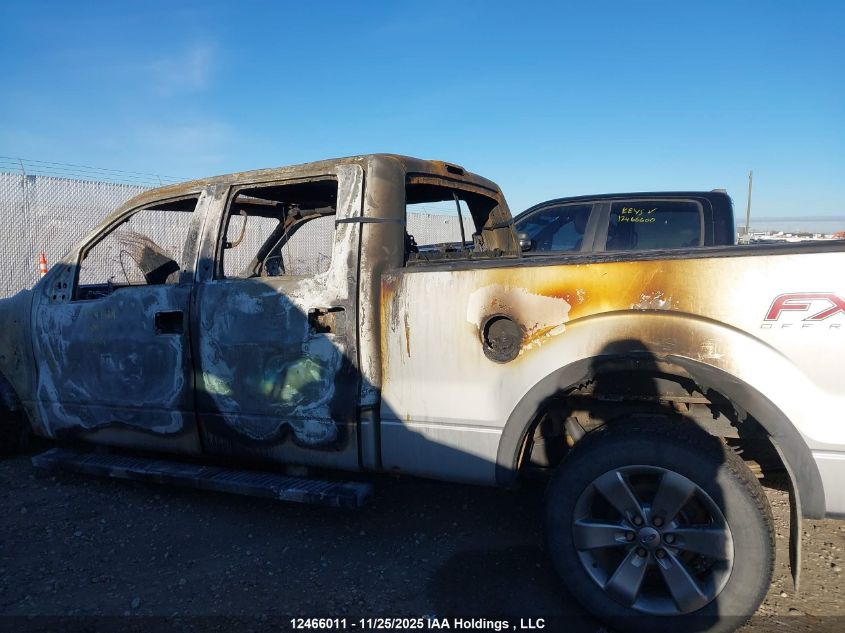 2013 Ford F-150 Fx4 VIN: 1FTFW1EF2DFB71119 Lot: 12466011