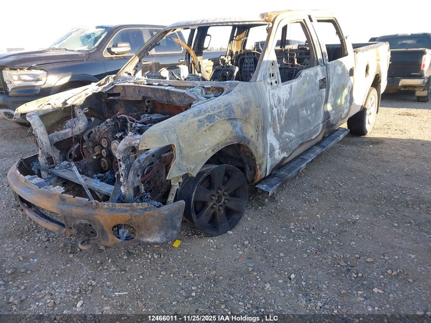 1FTFW1EF2DFB71119 2013 FORD F-150 photo no. 2