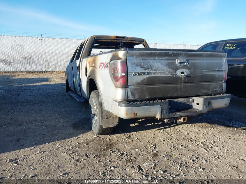 1FTFW1EF2DFB71119 2013 FORD F-150 photo no. 3