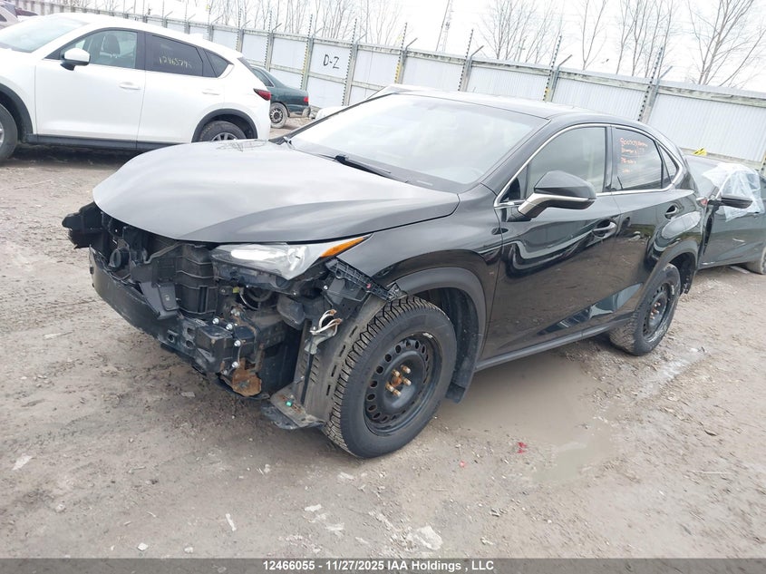 JTJBARBZXF2010373 2015 LEXUS NX photo no. 2