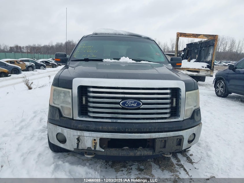 1FTFW1ET3BFC81051 2011 FORD F-150 photo no. 12