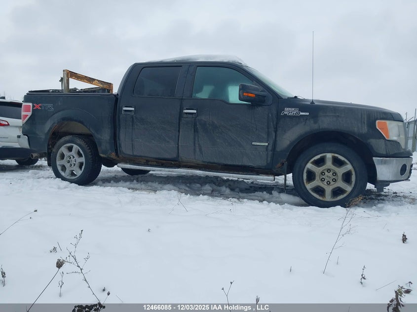 1FTFW1ET3BFC81051 2011 FORD F-150 photo no. 13