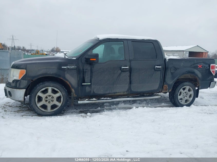 1FTFW1ET3BFC81051 2011 FORD F-150 photo no. 14