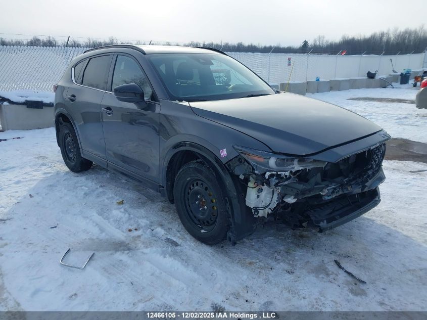 2022 Mazda Cx-5 Premium VIN: JM3KFBDM2N1520290 Lot: 12466105