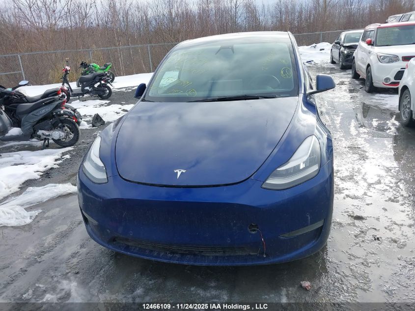 2021 Tesla Model Y Long Range VIN: 5YJYGDEE2MF184391 Lot: 12466109