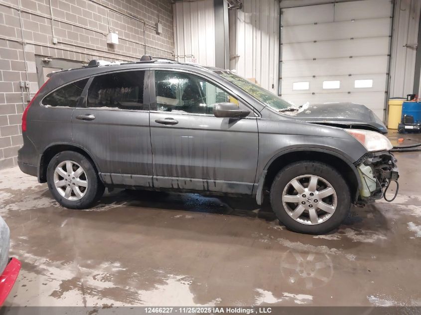 2010 Honda Cr-V Ex VIN: 5J6RE4H54AL813433 Lot: 12466227