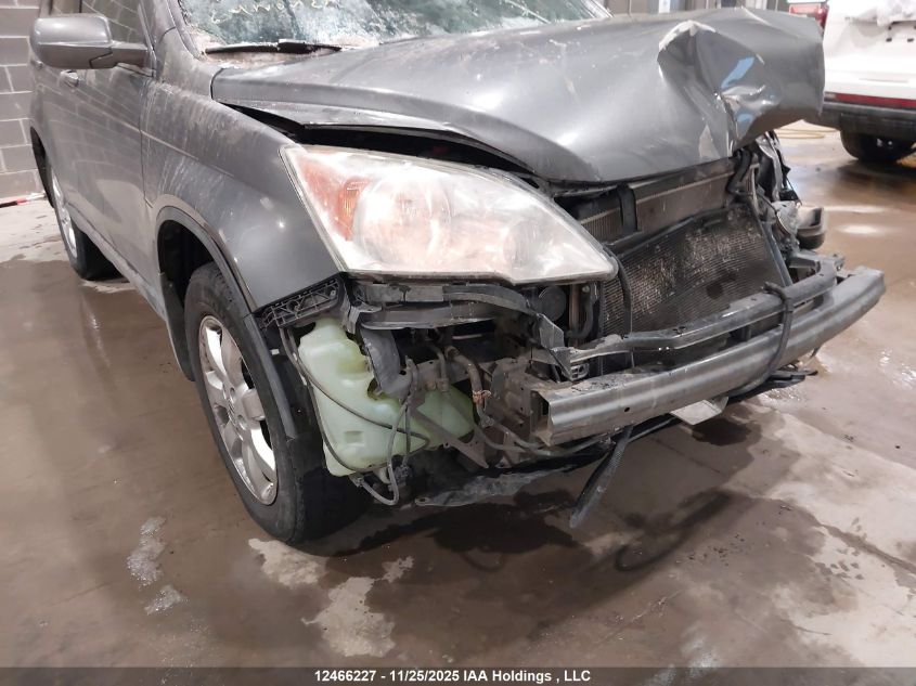 2010 Honda Cr-V Ex VIN: 5J6RE4H54AL813433 Lot: 12466227