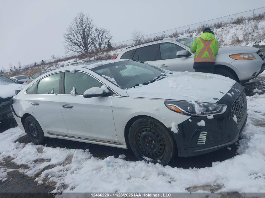 2018 Hyundai Sonata 2.4 Sport VIN: 5NPE34AF4JH684904 Lot: 12466228