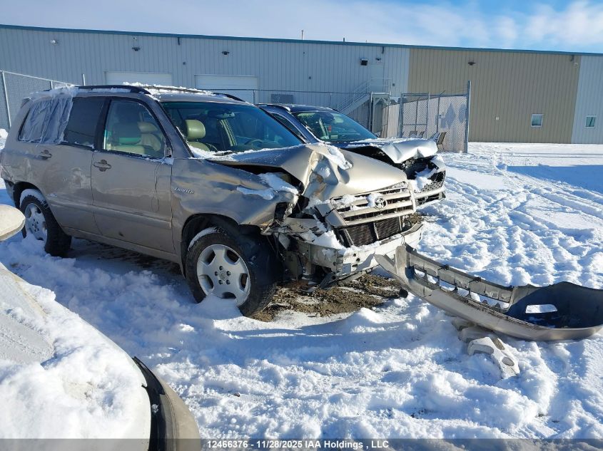 2006 Toyota Highlander Limited VIN: JTEEP21A760142032 Lot: 12466376