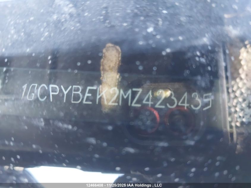 2021 Chevrolet Silverado K1500 Custom VIN: 1GCPYBEK2MZ423435 Lot: 12466408