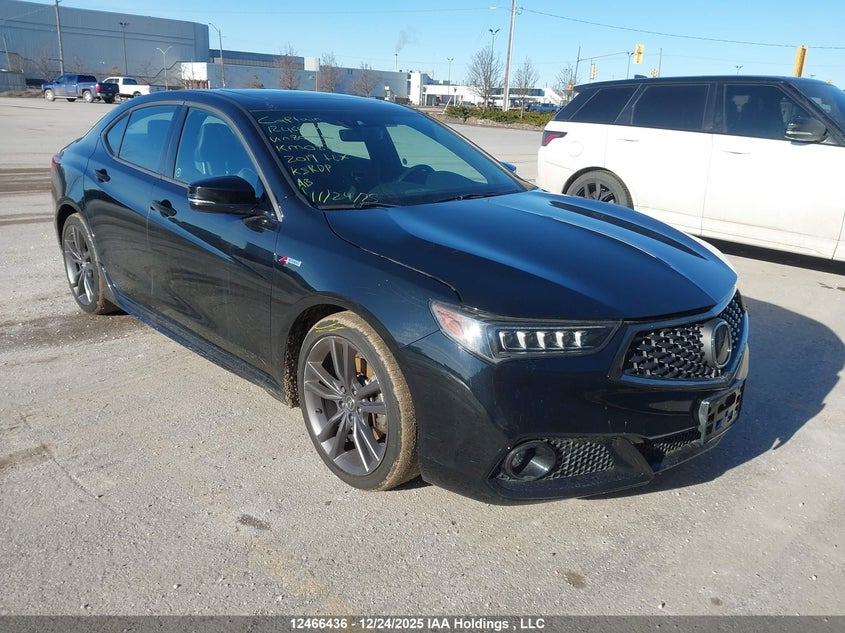 19UUB1F66KA800216 2019 Acura Tlx Tech A-Spec auction photo 1