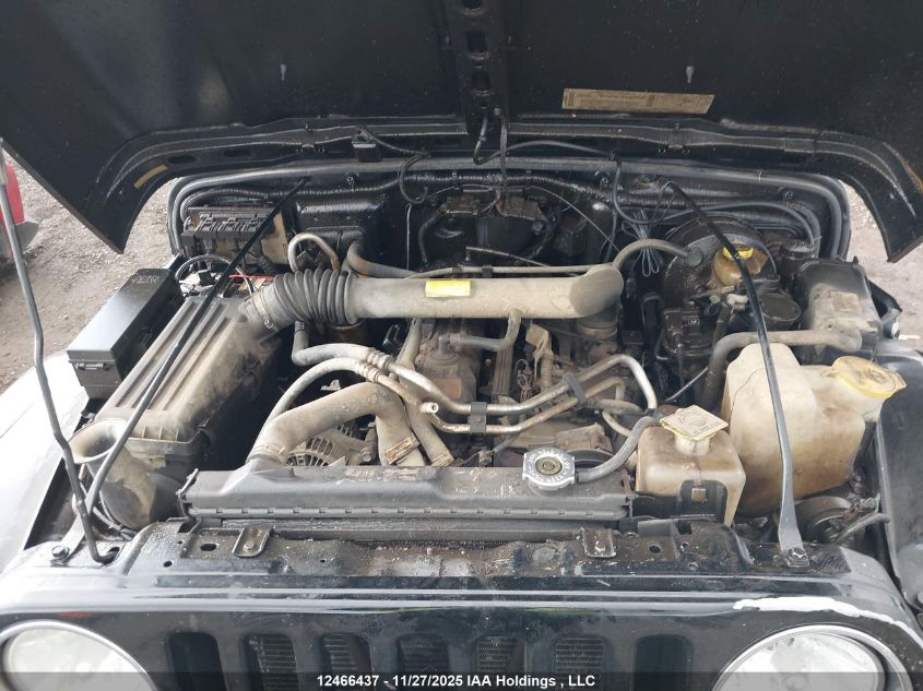 2002 Jeep Wrangler / Tj Sahara VIN: 1J4FA59S72P733935 Lot: 12466437