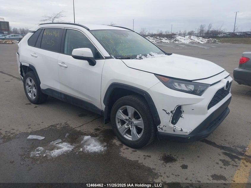 2T3B1RFV1KW009205 2019 Toyota Rav4 Le auction photo 1