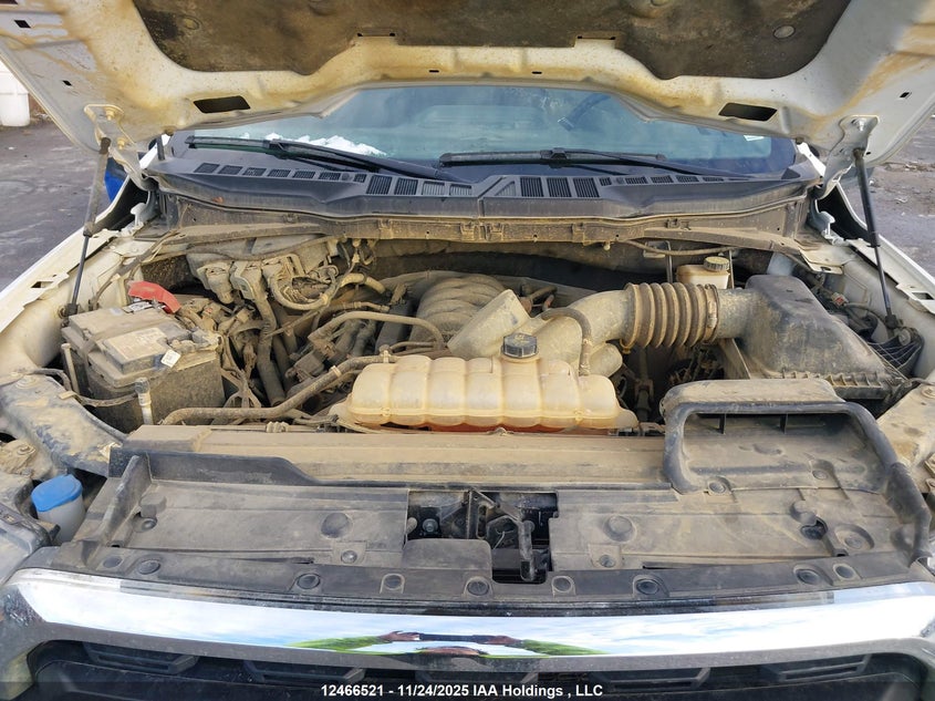 2023 Ford F150 Supercrew VIN: 1FTFW1E52PKE01843 Lot: 12466521