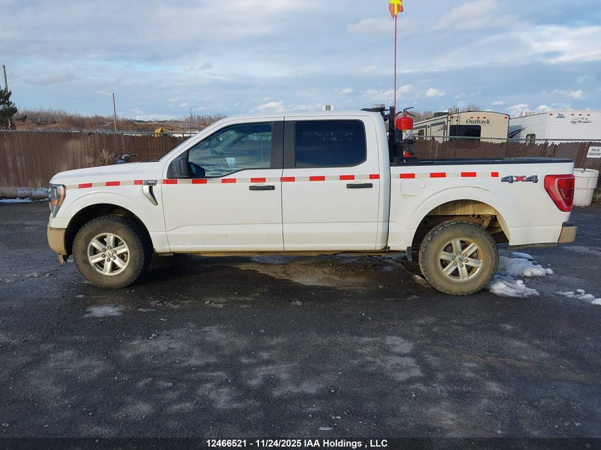 2023 Ford F150 Supercrew VIN: 1FTFW1E52PKE01843 Lot: 12466521