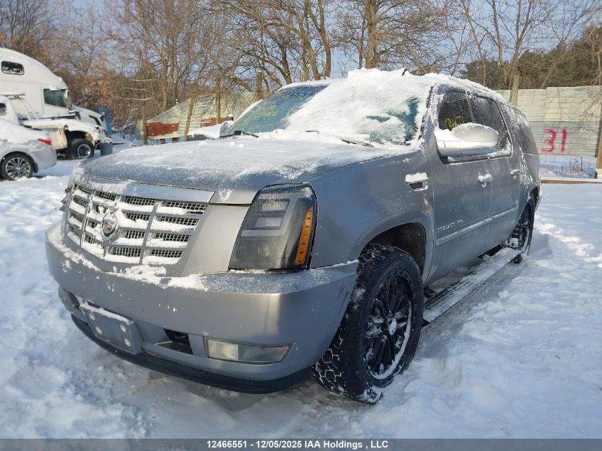 2011 Cadillac Escalade Esv VIN: 1GYS4JEF9BR120405 Lot: 12466551