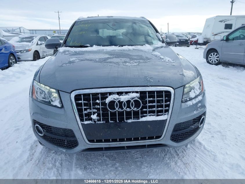 2010 Audi Q5 3.2 Premium VIN: WA1MKCFP8AA042469 Lot: 12466615