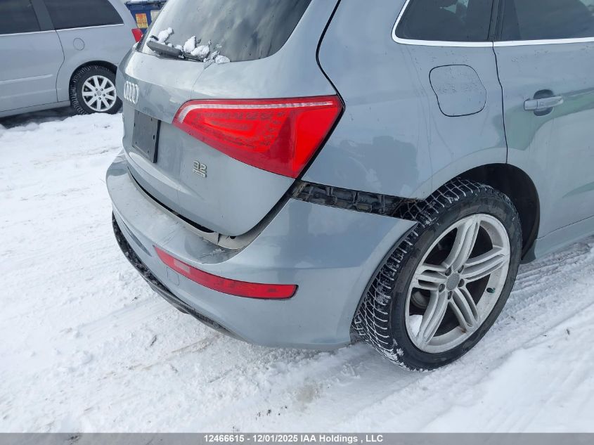 2010 Audi Q5 3.2 Premium VIN: WA1MKCFP8AA042469 Lot: 12466615