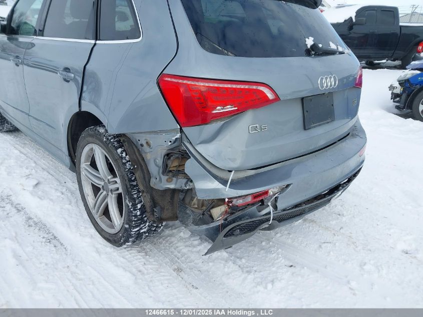 2010 Audi Q5 3.2 Premium VIN: WA1MKCFP8AA042469 Lot: 12466615