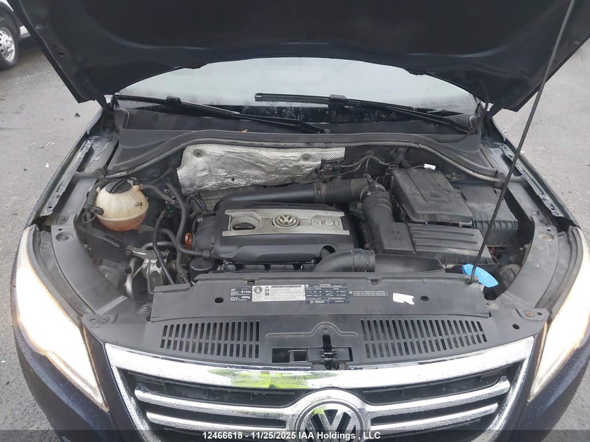 2011 Volkswagen Tiguan VIN: WVGBV7AX1BW519195 Lot: 12466618