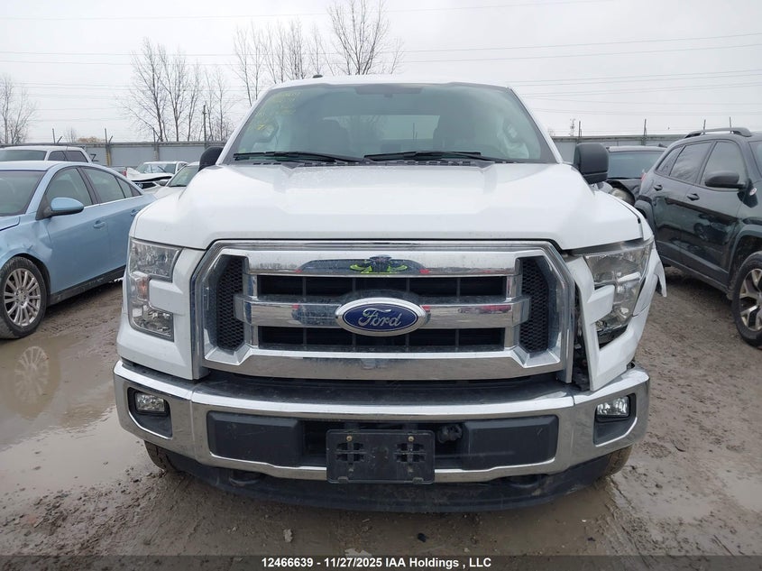 1FTEW1EG9FFC16242 2015 FORD F-150 photo no. 12