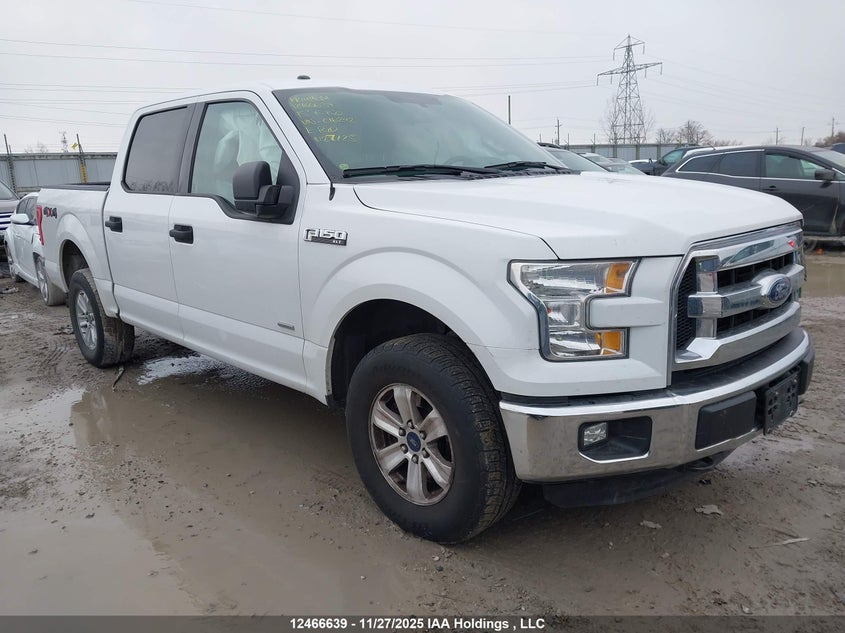 1FTEW1EG9FFC16242 2015 FORD F-150 photo no. 17