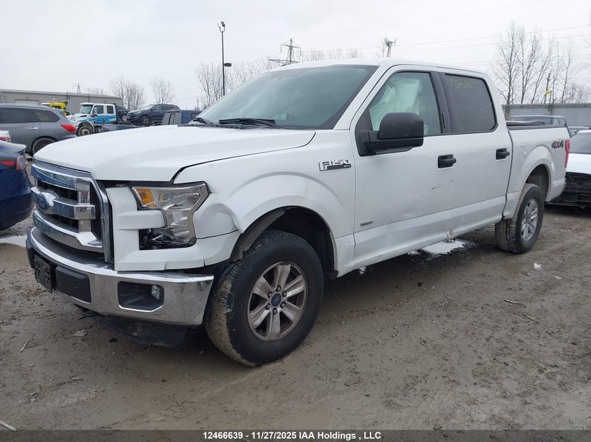 1FTEW1EG9FFC16242 2015 FORD F-150 photo no. 2