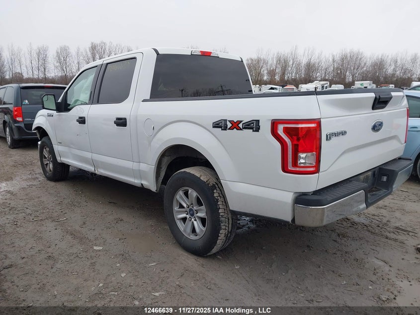 1FTEW1EG9FFC16242 2015 FORD F-150 photo no. 3