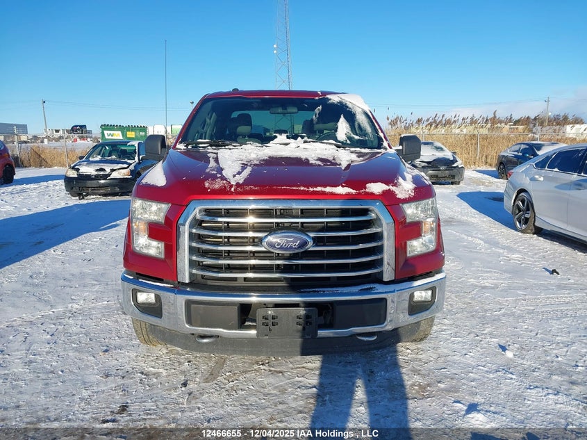 1FTEW1EF7FKE94250 2015 FORD F-150 photo no. 12