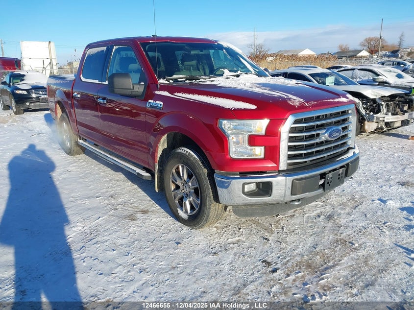 1FTEW1EF7FKE94250 2015 FORD F-150 photo no. 16